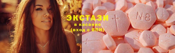 ECSTASY Бородино